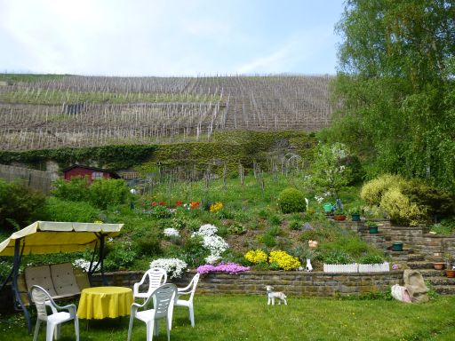 Garten_mit_Sitzgelegenheit